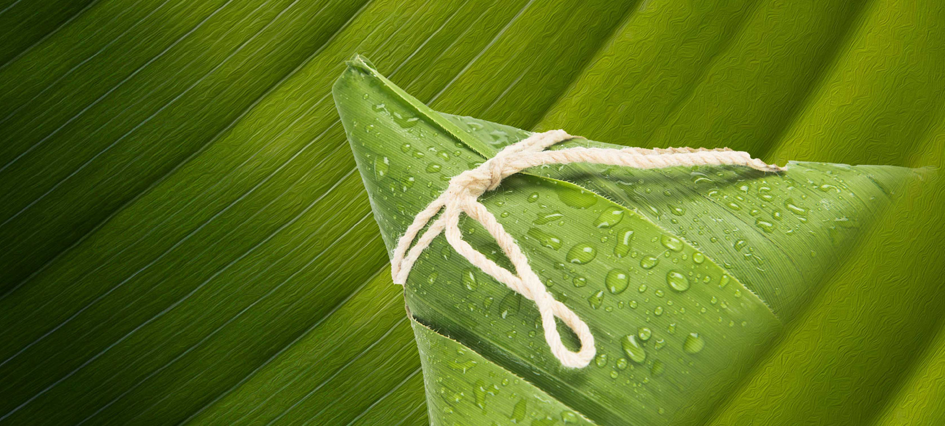 嘉興市南湖齋食品股份有限公司